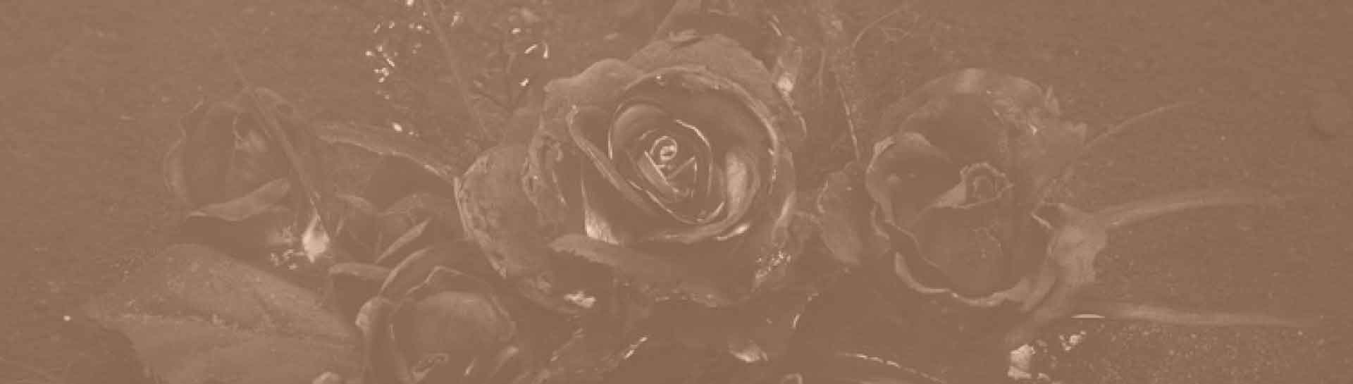 featured image of geochemical phytoremediation technology showing burning roses and ash modified after an image of arsthanea.com